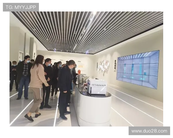 森林狼俱乐部发展历程与未来战略规划全景解析